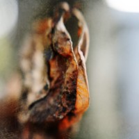 Ohne Titel I Kuico-Projektteilnehmerin Monika Hirmer